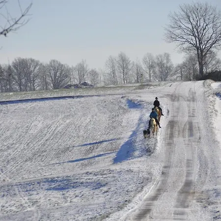 Apartament Zum Landidyll *