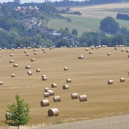 Apartament Zum Landidyll Lugau