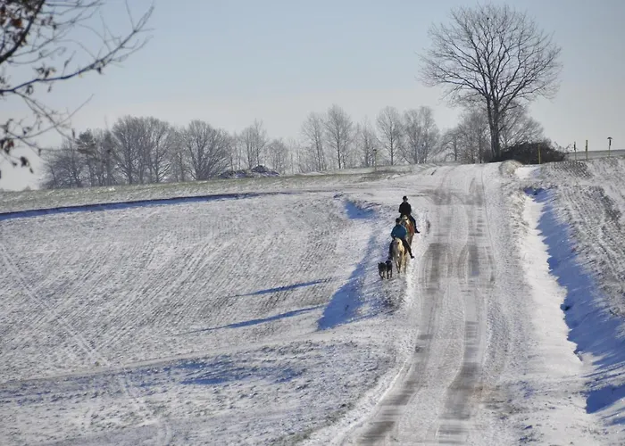 Appartement Zum Landidyll *