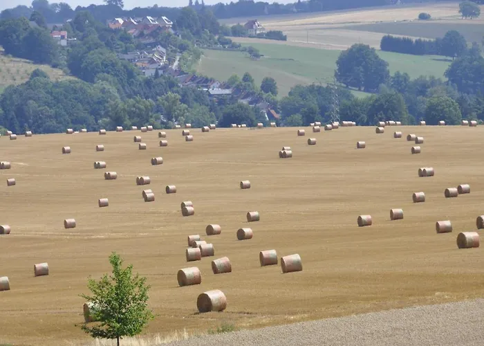 Appartement Zum Landidyll Lugau